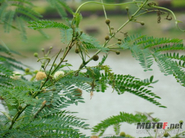 dsc02345_副本.jpg