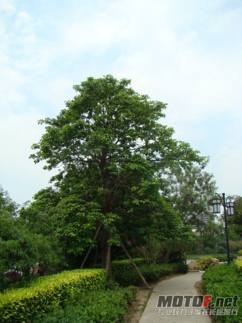 dsc02379_副本.jpg