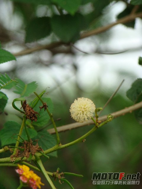 dsc02395_副本.jpg
