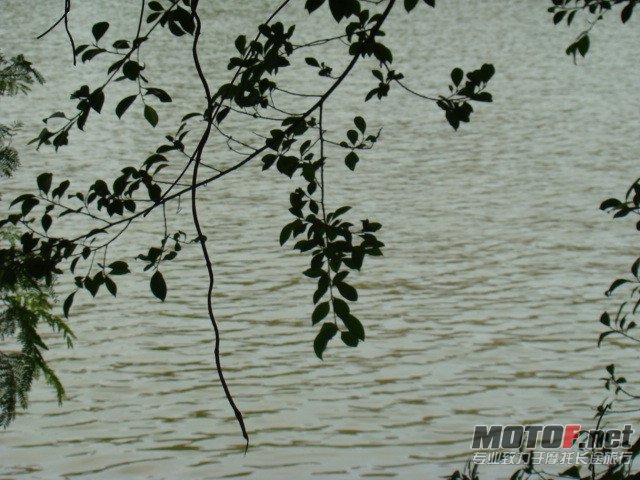 dsc02398_副本.jpg