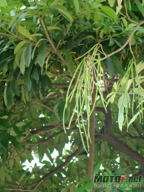 dsc02400_副本.jpg