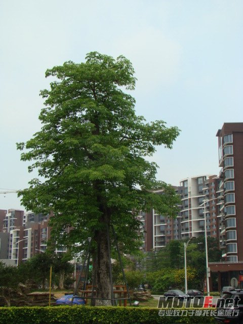 dsc02402_副本.jpg
