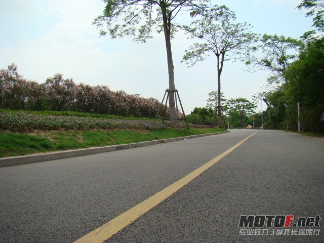 dsc02346_副本.jpg