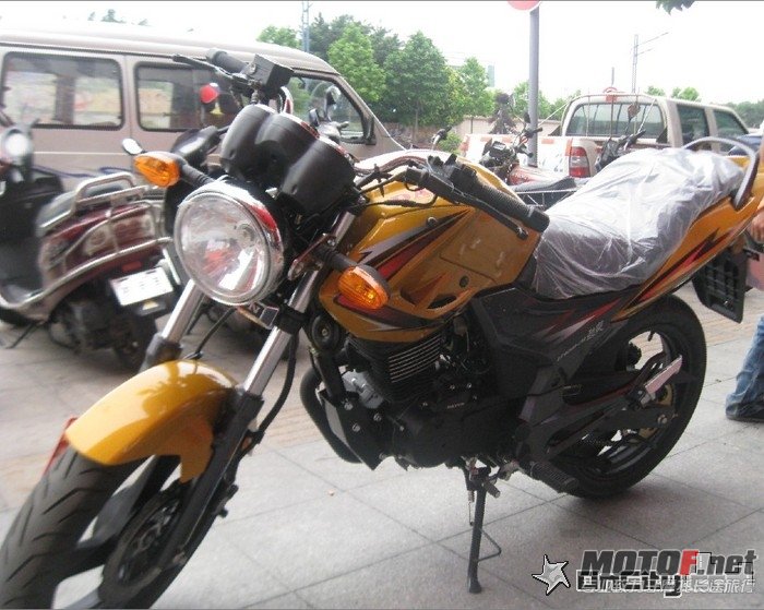 080524qz4e797apa9e65zw.jpg