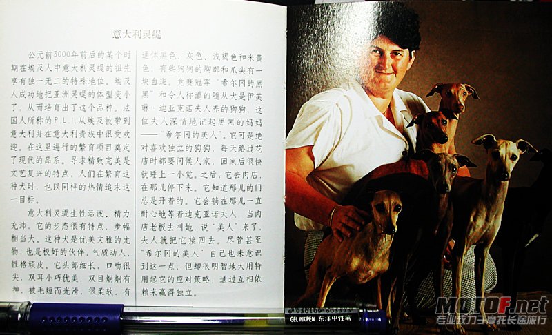 DSCN2260.JPG