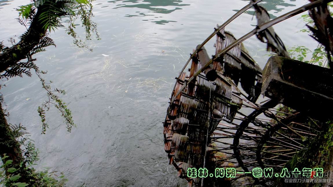 粤W.10.jpg