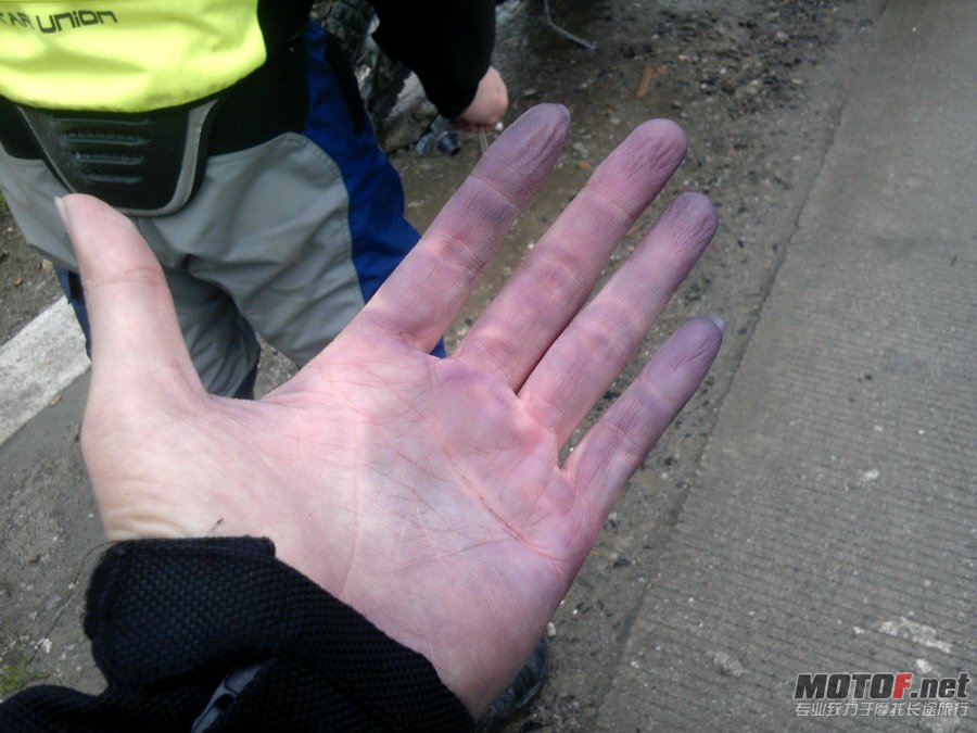 IMG_20110422_121336.jpg