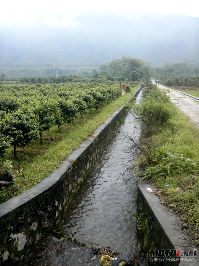 IMG_20110422_121519.jpg