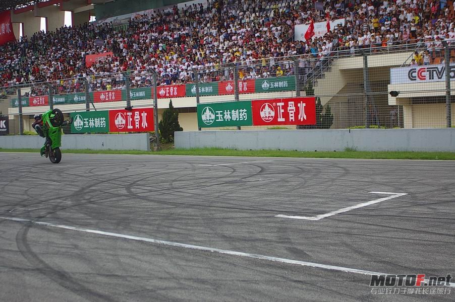 IMGP8941.JPG