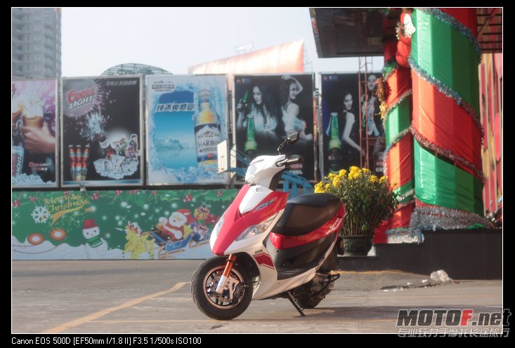 1923246pp1p857ll159t74.jpg