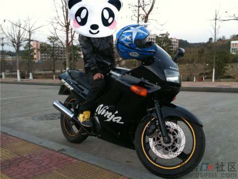 ZZR250