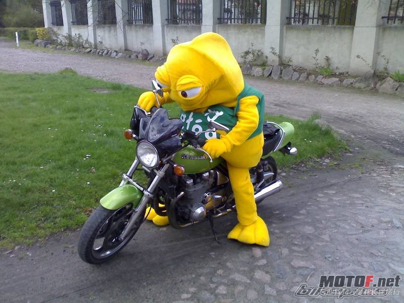 bikepics-1260488-800.jpg