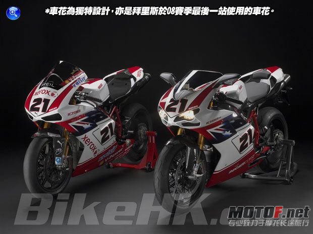 1198英格兰花.jpg