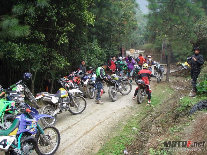 P1010092.jpg
