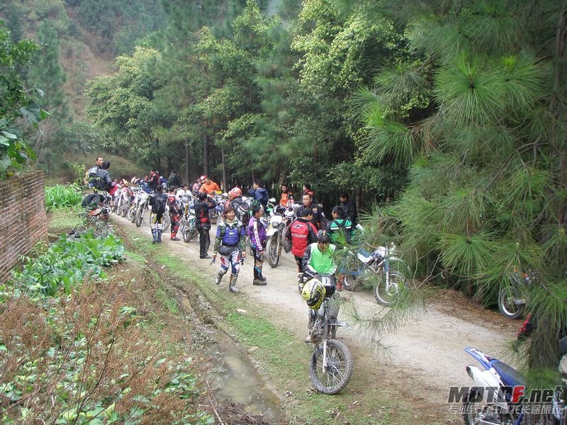 P1010120.jpg