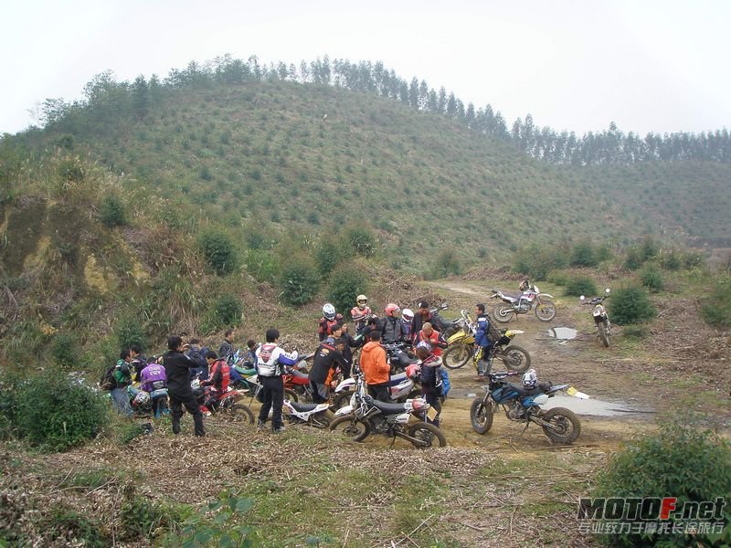 P1010134.jpg