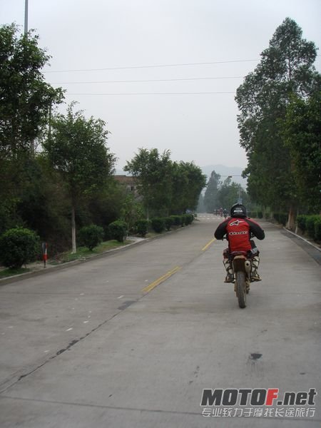 P1010141.jpg