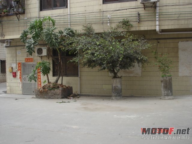 DSC02425.JPG