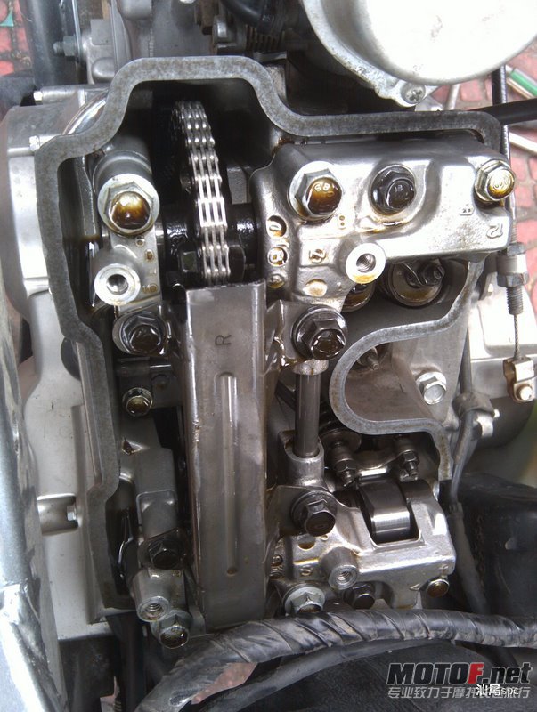 IMAG0313.jpg