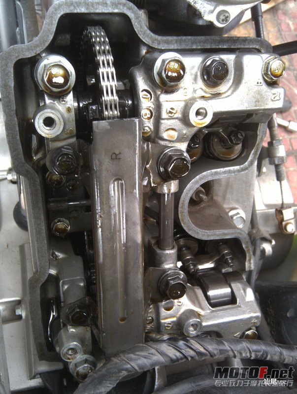 IMAG0316.jpg
