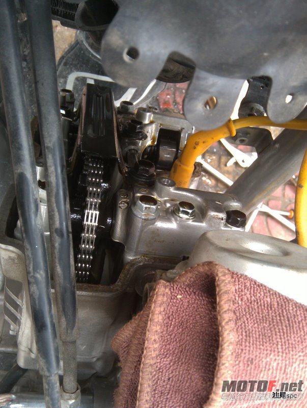 IMAG0317.jpg