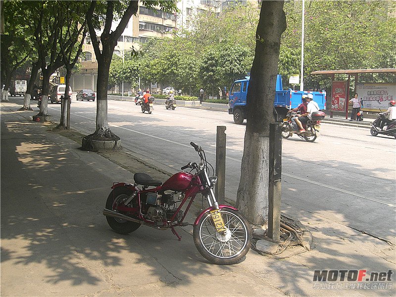 CIMG0363_副本.jpg