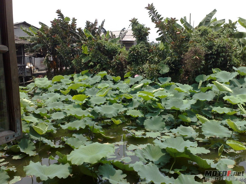 20110529918.jpg