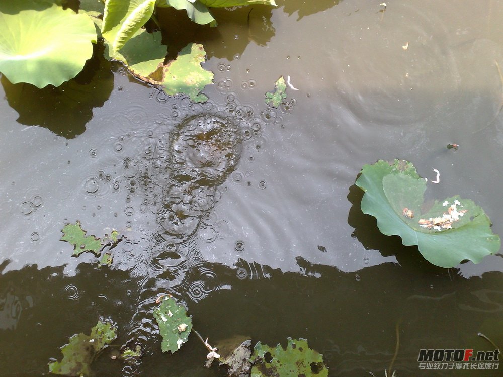 20110529929.jpg