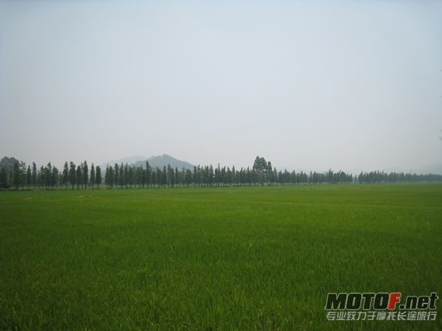 cb400 007.jpg