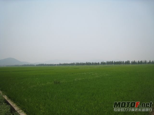 cb400 009.jpg