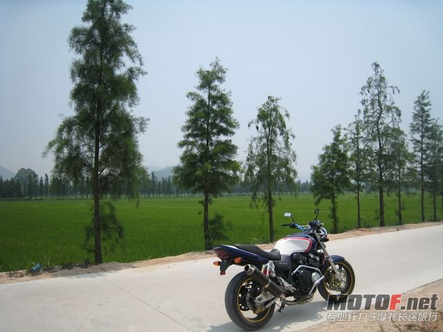 cb400 010.jpg