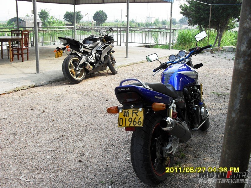 conew_sdc14167.jpg