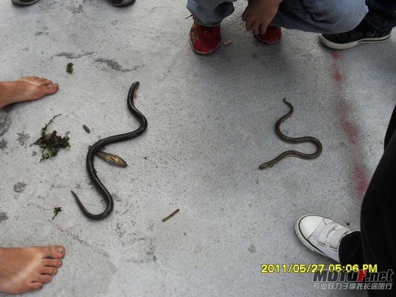 conew_sdc14173.jpg