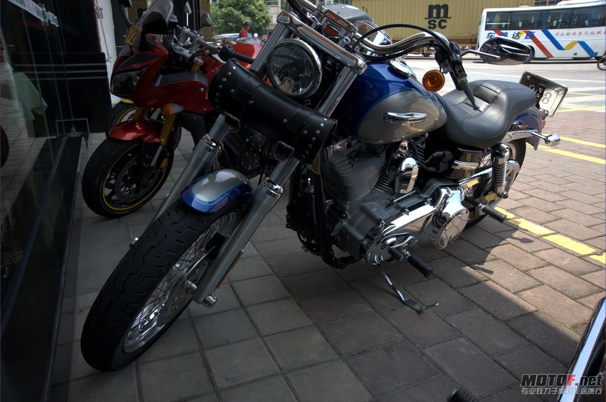 DSC_8225.jpg