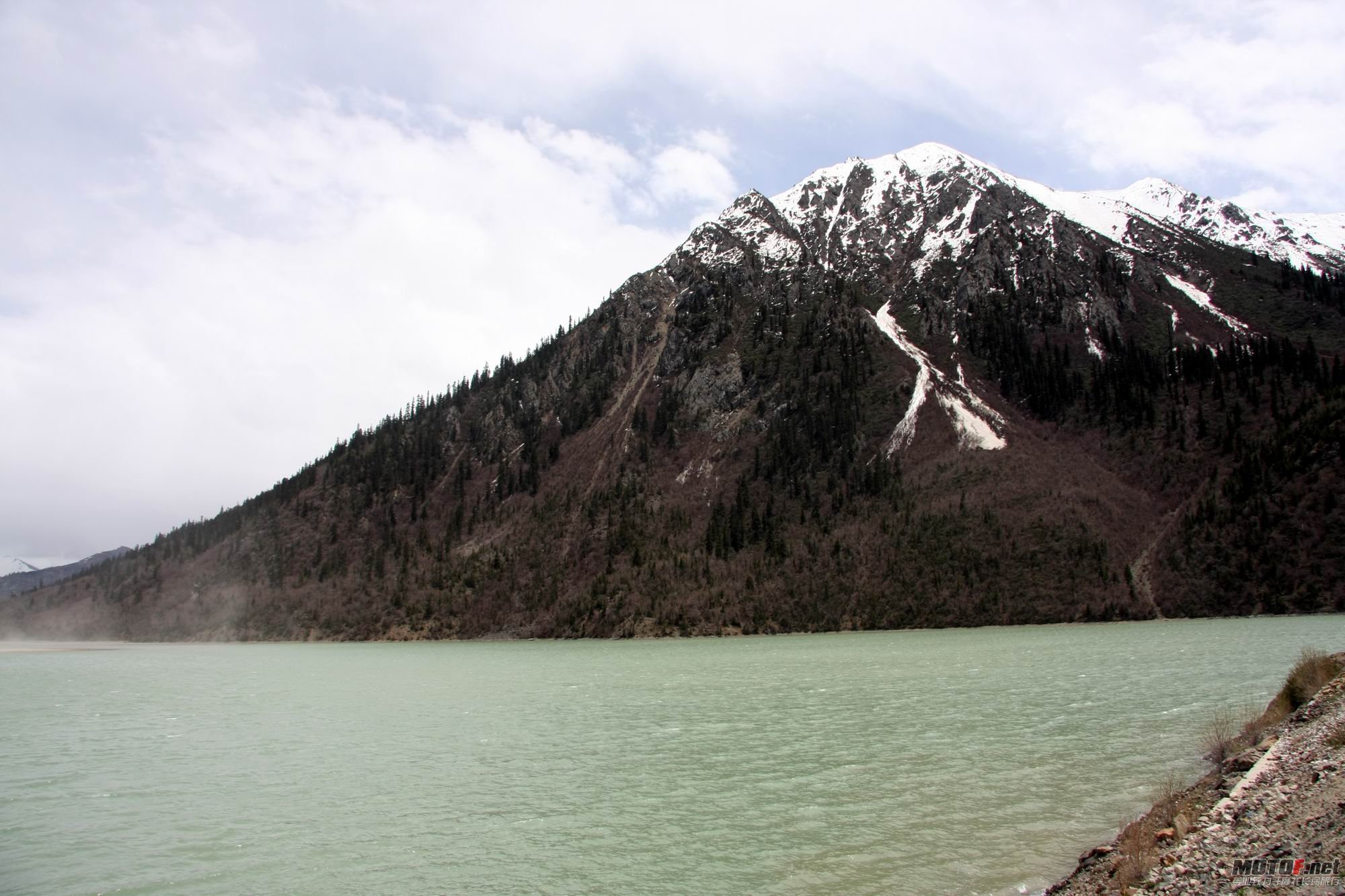 IMG_0866.jpg