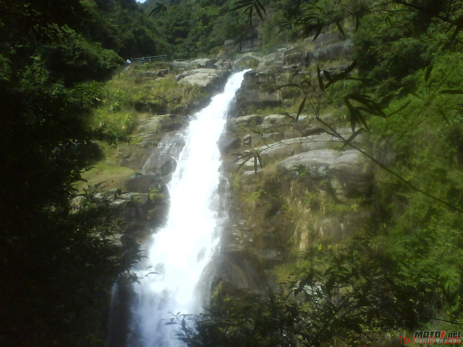 DSC02966.JPG
