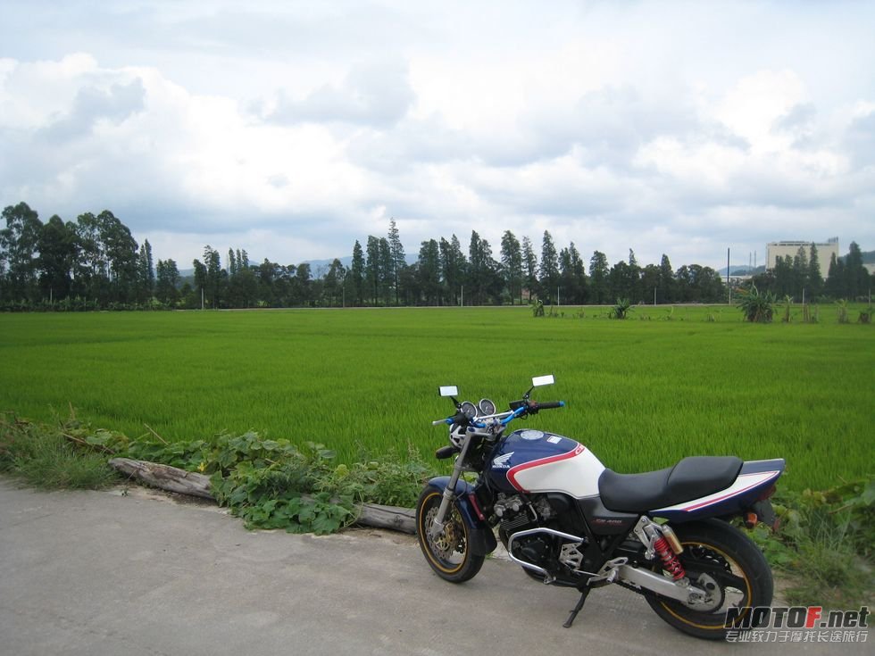 夏曰游 034.jpg