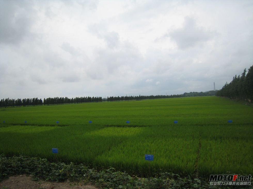 夏曰游 049.jpg