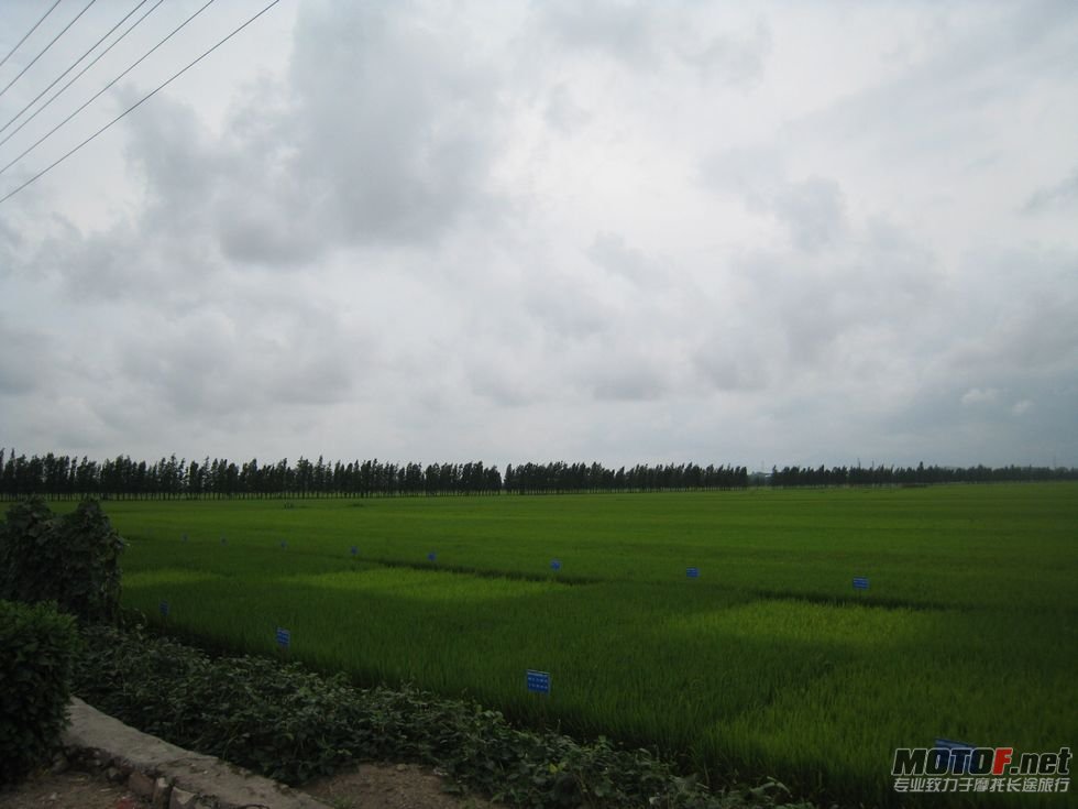 夏曰游 050.jpg