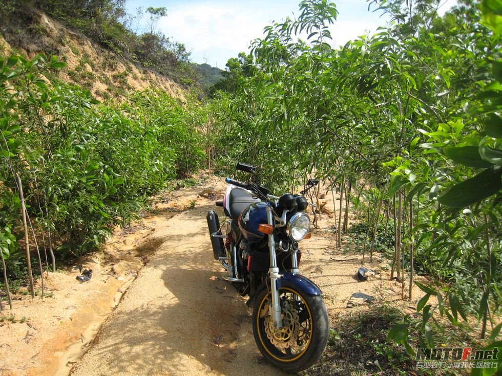 cb400一代 030.jpg