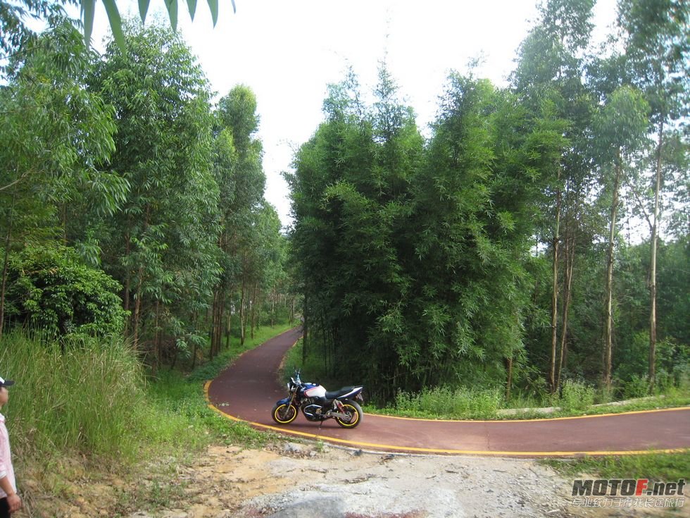cb400一代 031.jpg