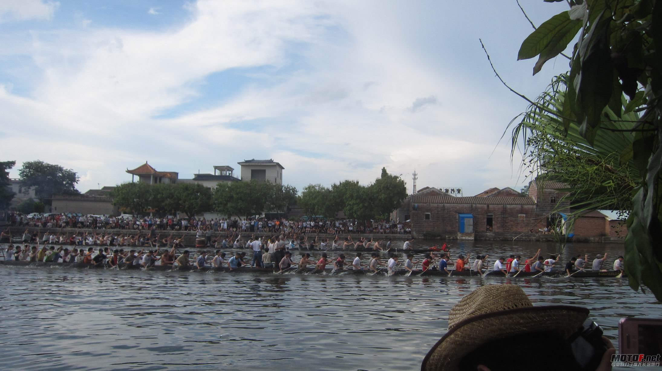 IMG_5023.jpg