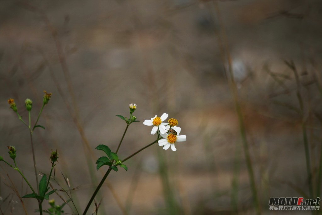 IMG_4956_调整大小_exposure.JPG
