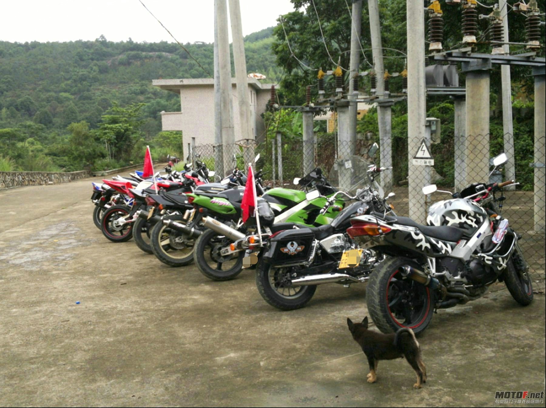 jia02.jpg