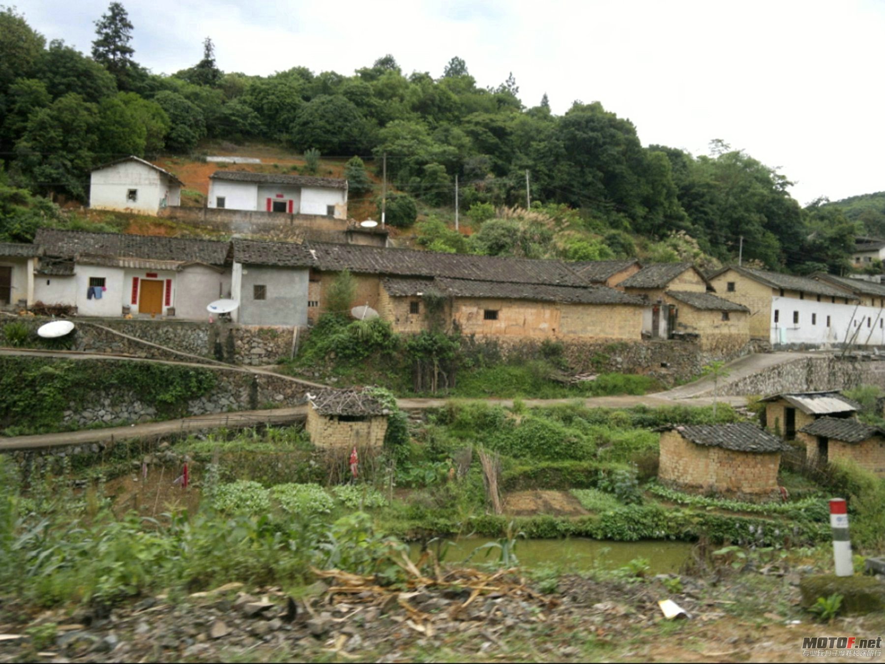 jia29.jpg