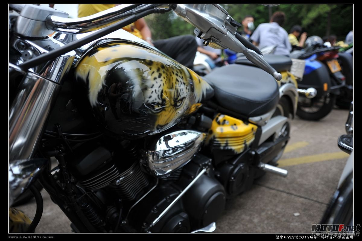 DSC_9295.jpg