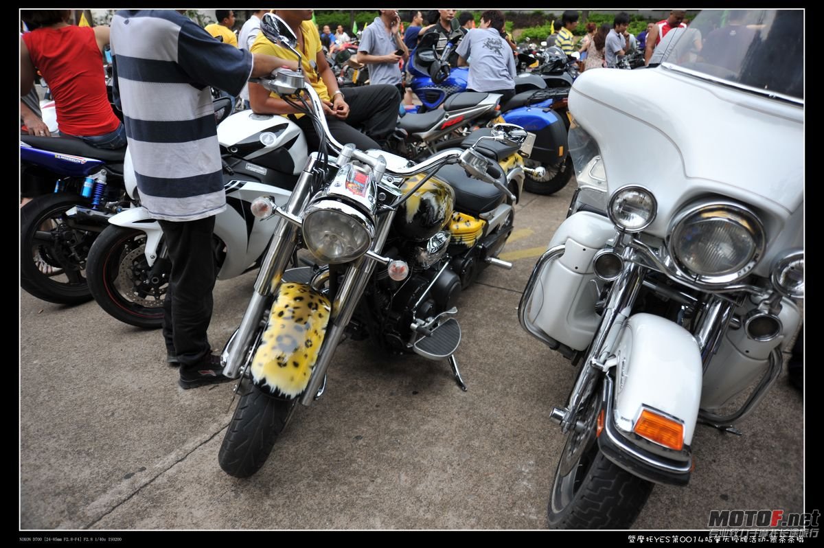 DSC_9296.jpg