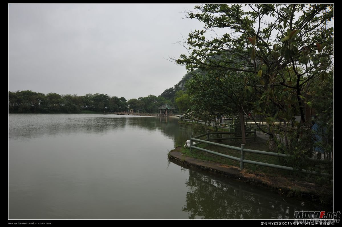 DSC_9313.jpg