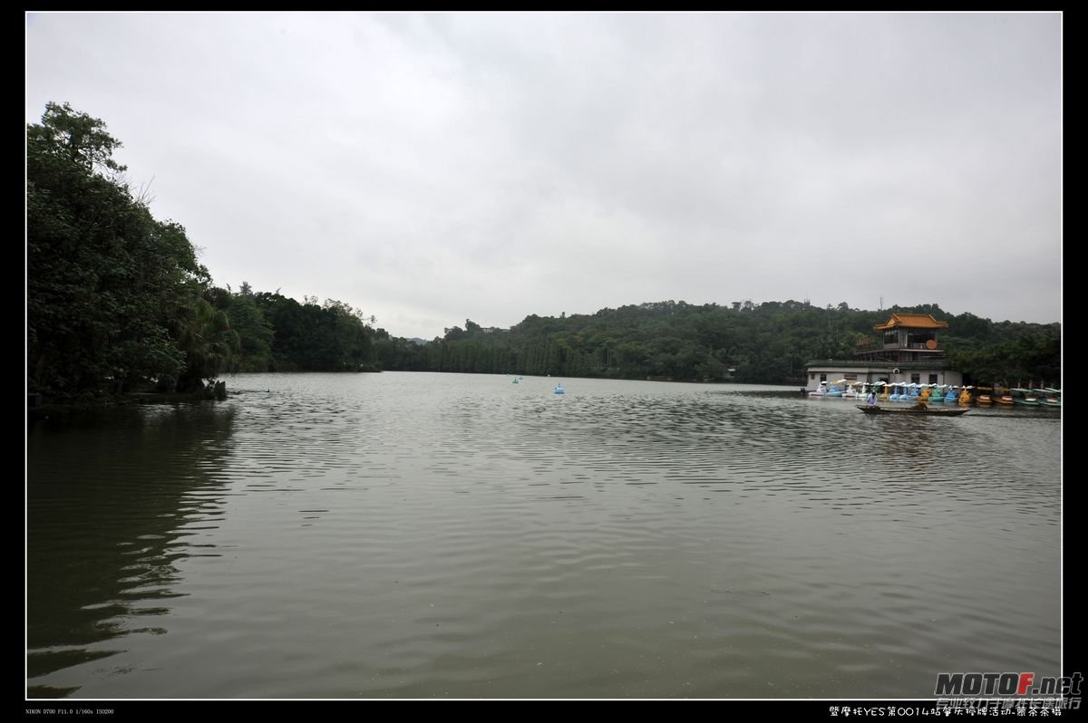 DSC_9316.jpg