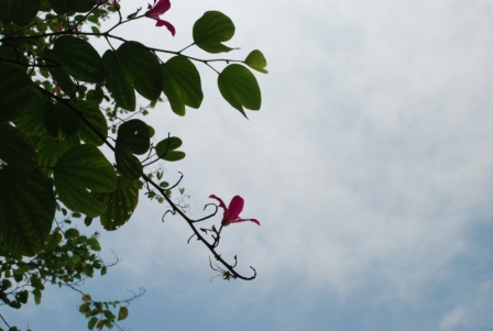 DSC_0019.JPG